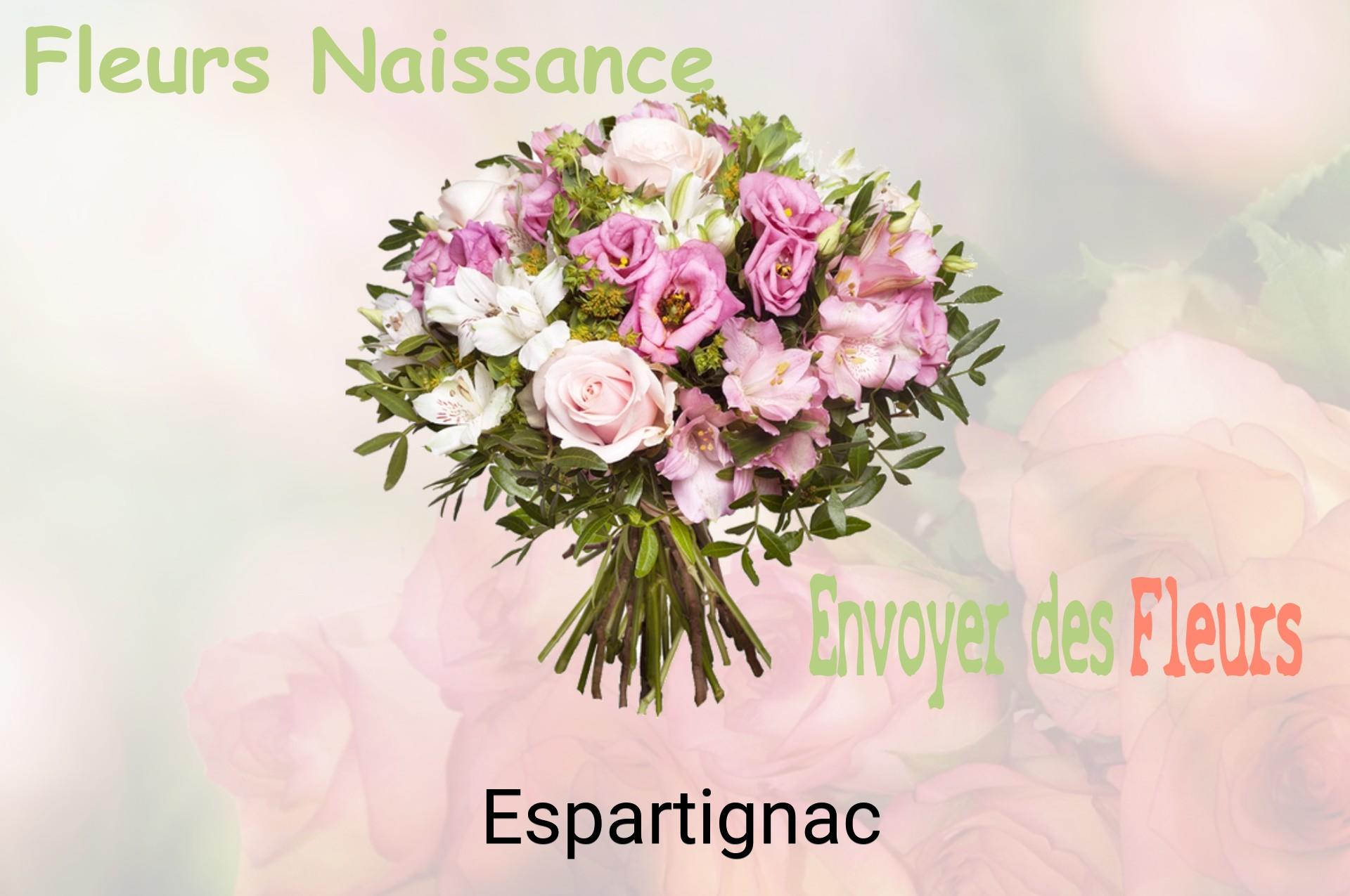 Bouquet de fleurs de naissance livré à Espartignac