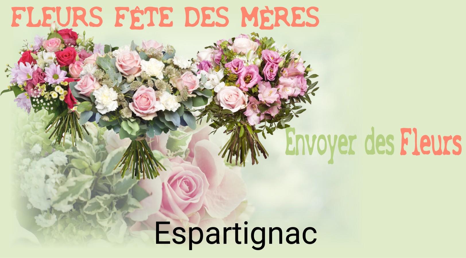 Bouquet de Fête des Mères livré à Espartignac